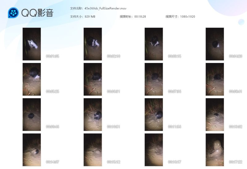 45e369dc_FullSizeRender-湿身与脏乱