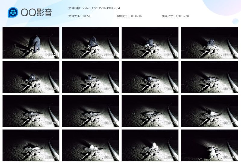 Video_1728355874981-湿身与脏乱