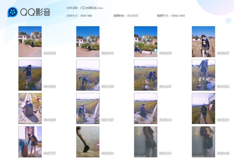 门口水田玩泥-湿身与脏乱