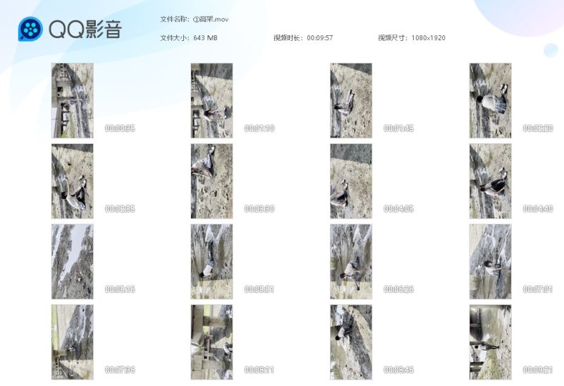 高架（六个视频）-湿身与脏乱