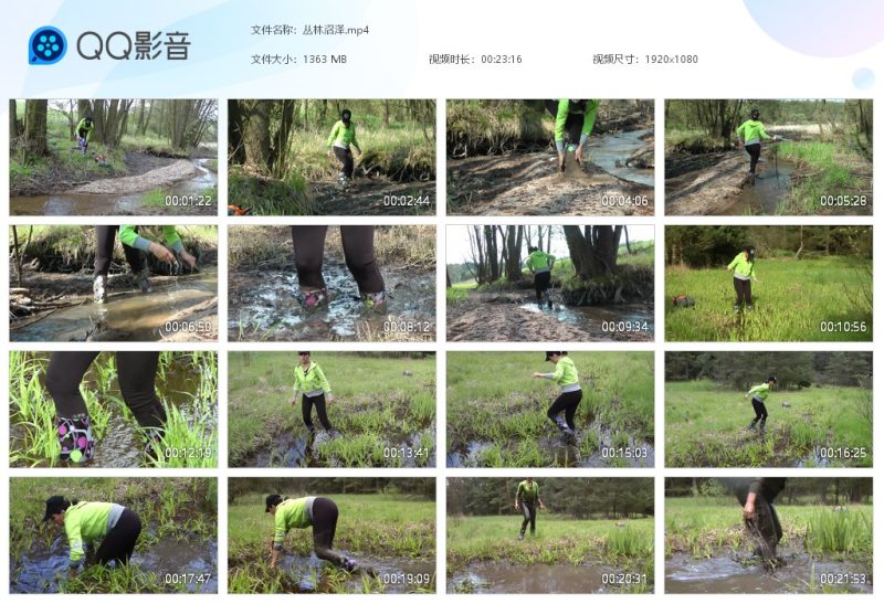 丛林沼泽-湿身与脏乱
